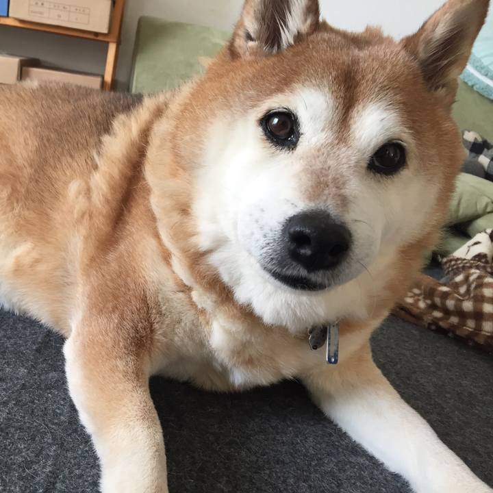 Fb368f0f 8a3c 4956 b131 5ecd17b42cbc 1547356072159