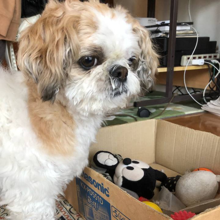 Fb369961 4331 4783 bc0c 919b8e3e419f 1586123133534