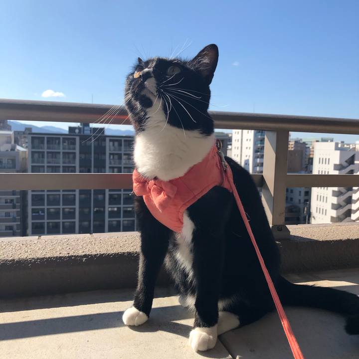 Fb36ab00 fb44 4f7f 8329 7c8b9259dd3b 1546234332785