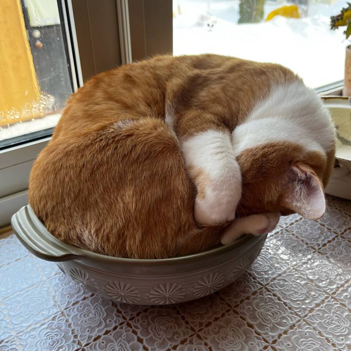 Fb36ad16 6b98 4861 9a1c b3ce0a1e72c4 1707709336077