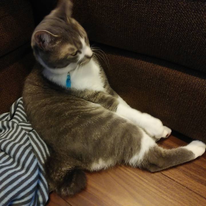 Fb36c460 bb1a 4cc3 aab6 44a8bcd7390e 1590476363962