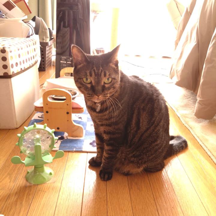 Fb36ea9f 1753 45fb bf03 a8e626815933 1764383929988