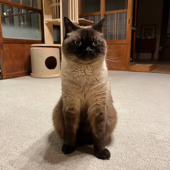 Fb36f084 2a23 4e7d 893b c5ef3d6edc6d 1720783715002