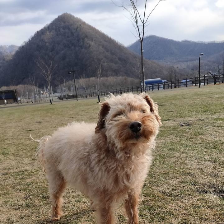 Fb36f401 eb17 4e28 8155 759f38f28949 1586048626550