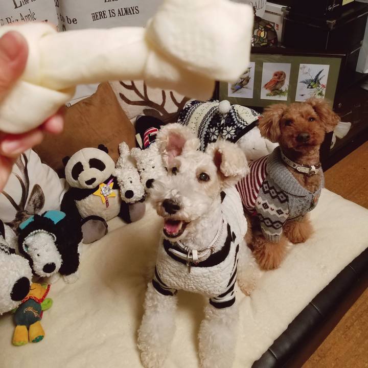 Fb370db1 cb6d 4d03 a121 02fc61e1a8ac 1548545329866