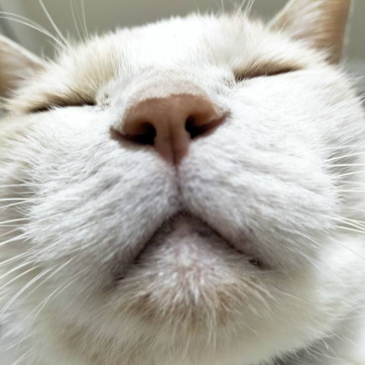 Fb3727f8 6b1c 4f50 9257 39aa209f0c9b 1687005022104