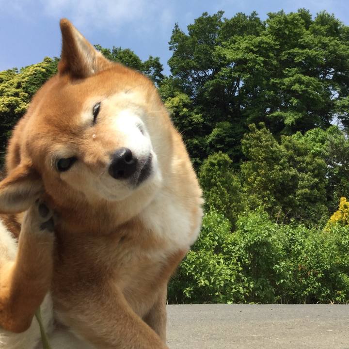 Fb37328e 95ef 4211 94fa adfd0c25120b 1557720531222