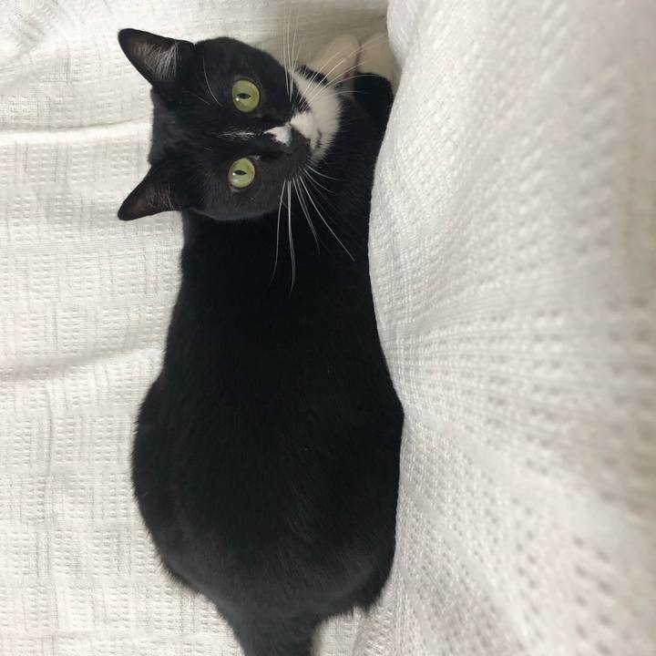 Fb375759 d831 4a48 bb7f e30d01bc7b32 1561953263843