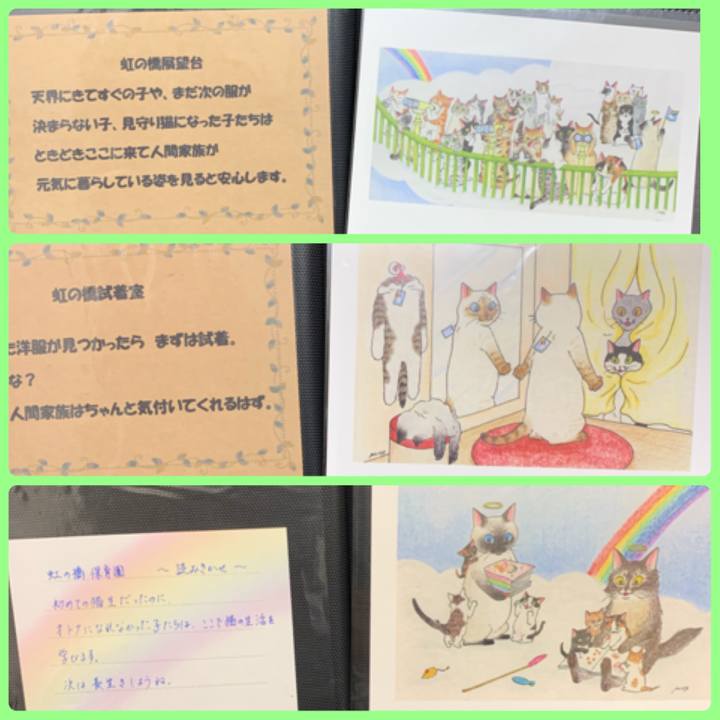 Fb37589f ba1c 4ed0 ad4d 9179c4cf6e4a 1574760286569