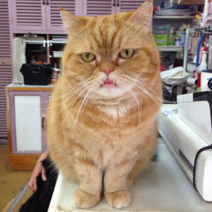 Fb376a8f bf2b 4d3e addc b3fb131e900e 1519864529869