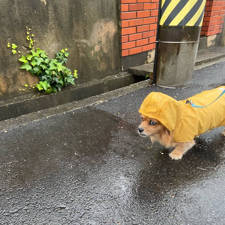 Fb379689 84a7 4043 93ff a3836db633cf 1603403864651