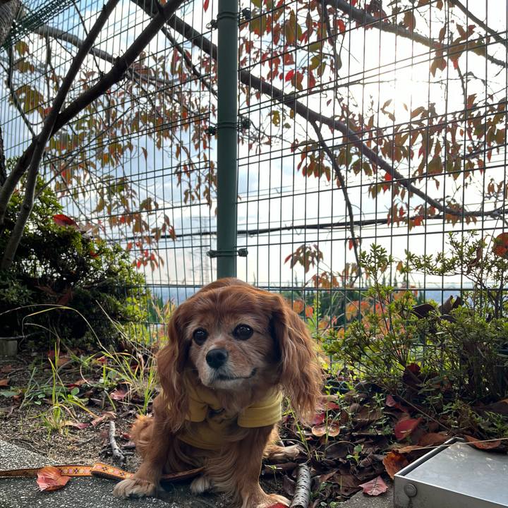 Fb37bf20 08b8 40cb b466 a896969ac36e 1762475506101