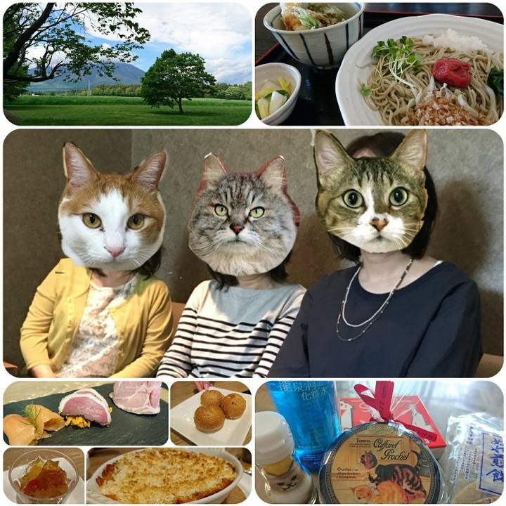 Fb37e077 6a88 46a0 b178 2e5ddccdfde2 1527307148567