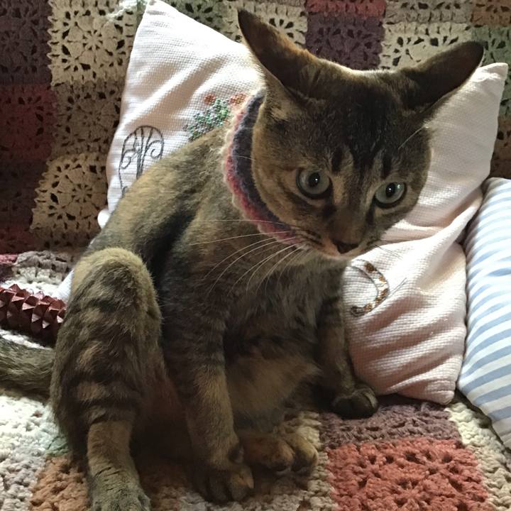 Fb37e1ee 6d3e 4ee1 9f81 15e10c6c5157 1626130355833