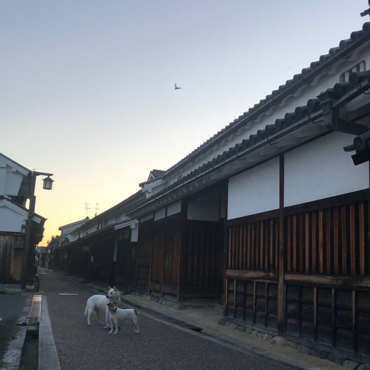 Fb37fb51 629f 44cd 8093 8b3e244aca46 1528891328473