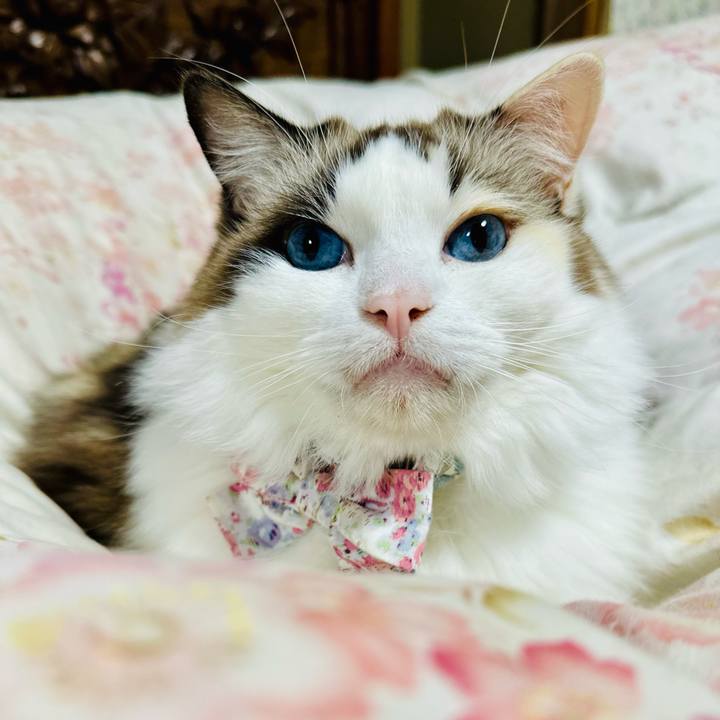 Fb38178c ce27 4956 9c06 70fd4e941fdb 1764899770259