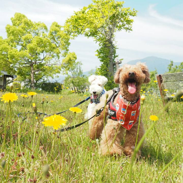 Fb383ae1 3406 447f 8aff 28aa25d07b92 1526106232332