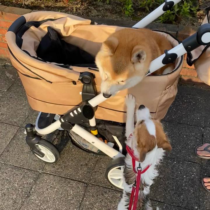 Fb3841dd 79b9 4e21 99d8 929254ddef38 1632567518176