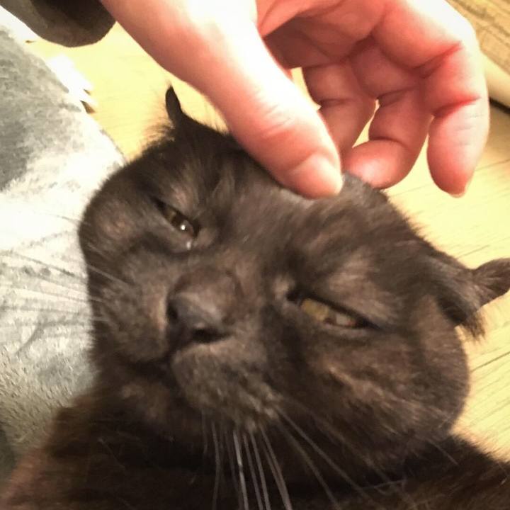 Fb385eb4 0a2a 41dd 8080 8252adf95cd7 1548855343108