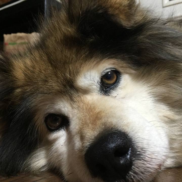 Fb3861cf e80e 4f44 b487 29df58d952a8 1593740103060