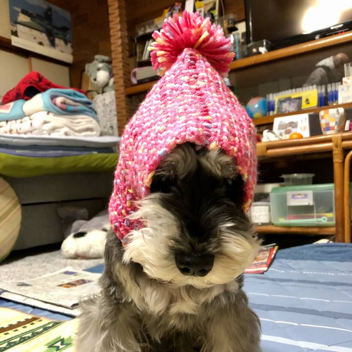 Fb38c3f3 defe 4a61 b961 a410743692e8 1671370149760