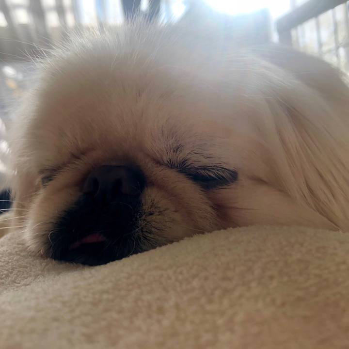 Fb38d002 3757 4ded b270 816bb998a16c 1611726356483