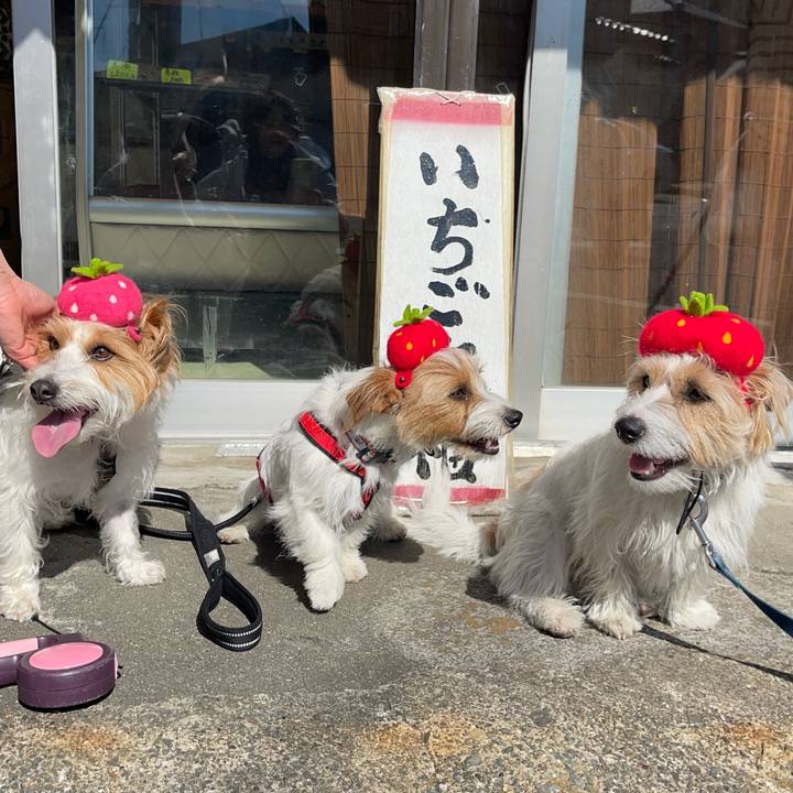 Fb38e187 8511 41ed a3e4 2e9c0f96e8a9 1771759420316