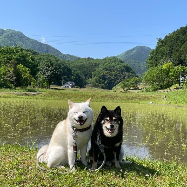 Fb395521 946e 45a2 8603 28c8a486319b 1715919977166