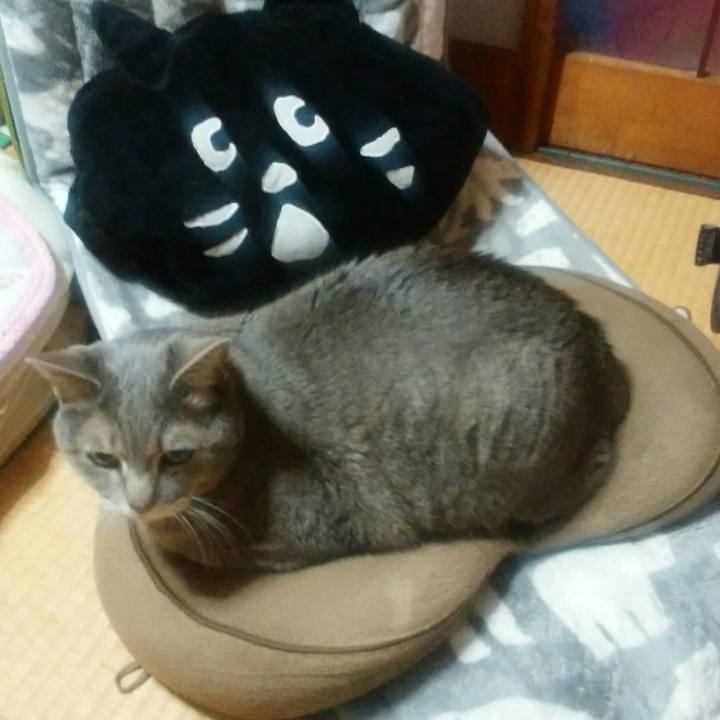 Fb39bdc9 f512 44cc 9554 956c7855e8fc 1550579899942