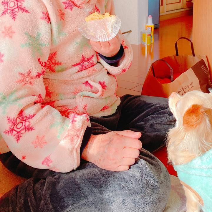 Fb39e5cd e05b 4e7a a685 24a4414318e2 1641554538023