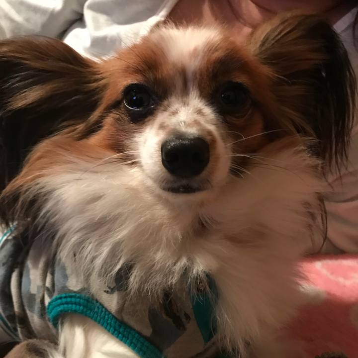 Fb39fd8f fabc 49f8 b1e2 f0e04d74213d 1515505940607