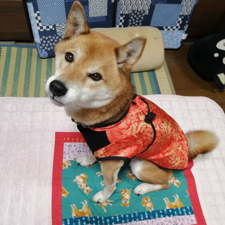 Fb3a0b95 28a6 4b76 b3ce c4068cb4d93a 1603957820497