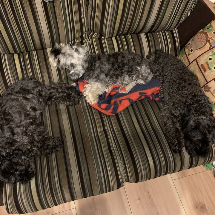 Fb3a1d68 8019 437a 89af f046611f9d36 1596107626793