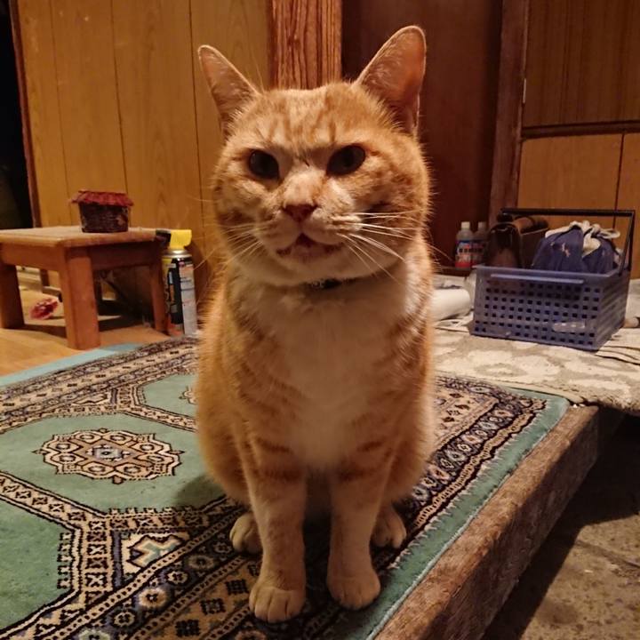 Fb3a3de2 7ac4 4499 a249 b0b8152e305f 1580720368637