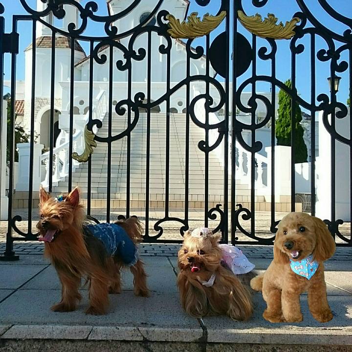 Fb3a5d97 c0d2 4c16 b542 8e400d34a961 1517032664060