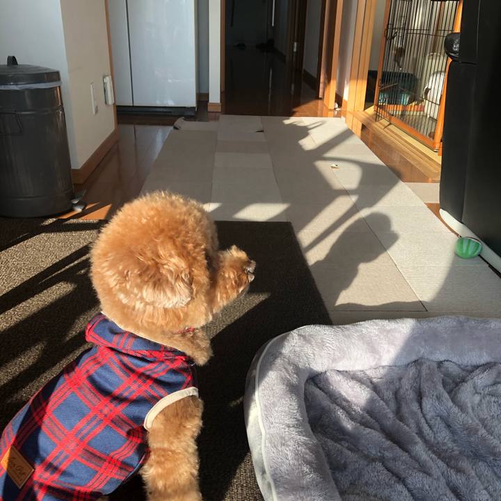 Fb3a8d72 4a86 47a0 9a2f 41fa64cf66cb 1606518640772