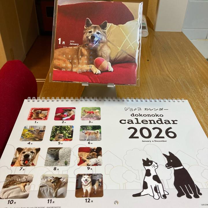 Fb3ab42b ab01 43a5 b259 c6af8ec00abe 1763640537739