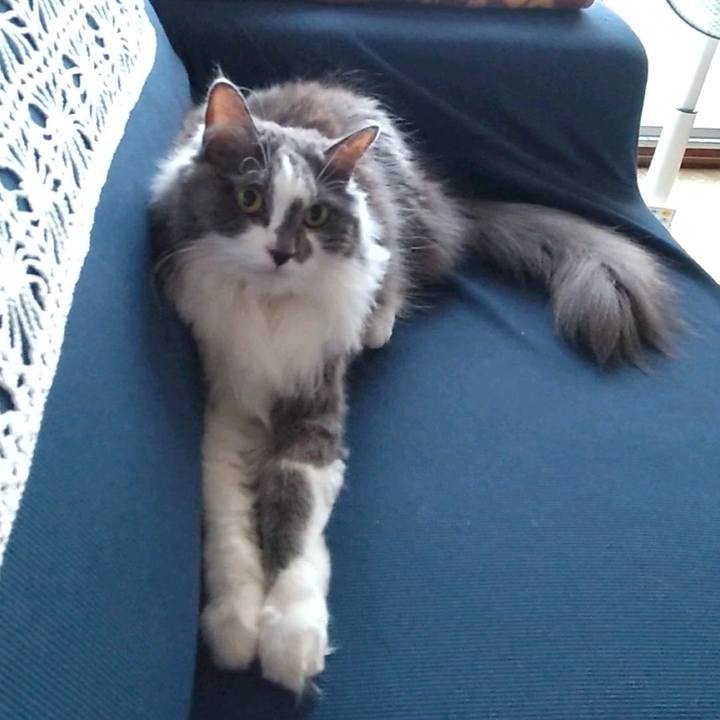 Fb3abcb2 cd51 47d8 9b10 46436dd73548 1627461445836