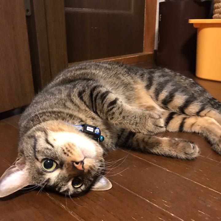 Fb3ace29 2831 4639 96a4 940eb70e5017 1615812099241