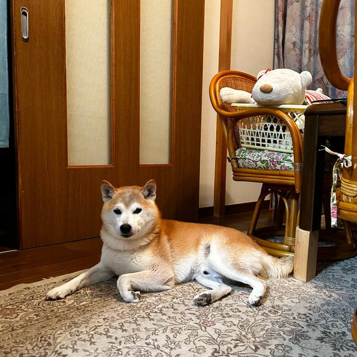 Fb3ae001 ed4e 4d5c a864 014e30f06f7a 1760093575956