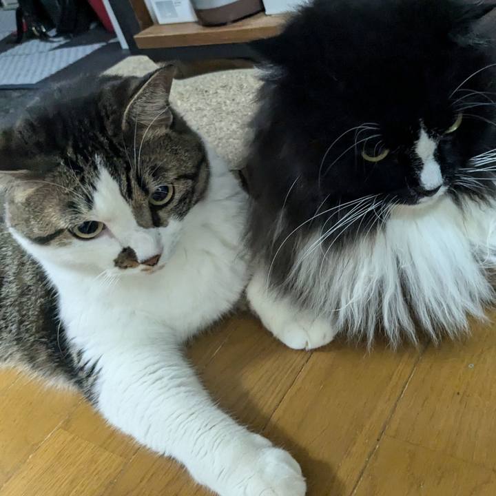 Fb3b0f18 b5a8 4005 9b46 2d2d8a4063d0 1726274622062