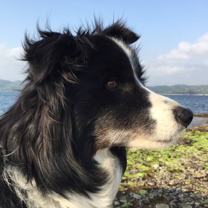 Fb3b0f20 a1b5 44c1 8157 b1856c8e0c88 1557149901328