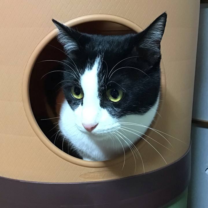 Fb3b12e2 79ed 48b6 ba92 e947acf1cef2 1673698676091