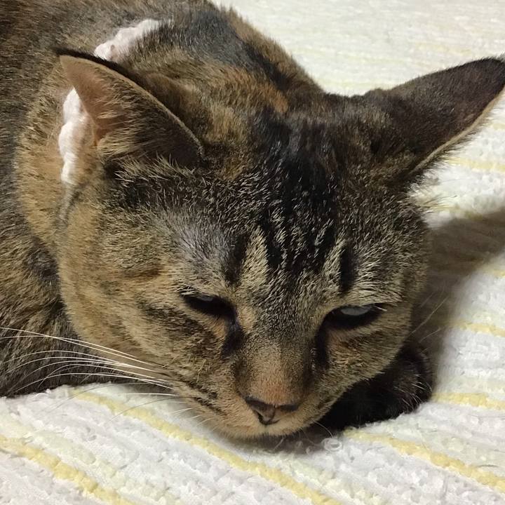 Fb3b1433 9ee6 4637 9d32 3cdeb43cafb7 1754397231552