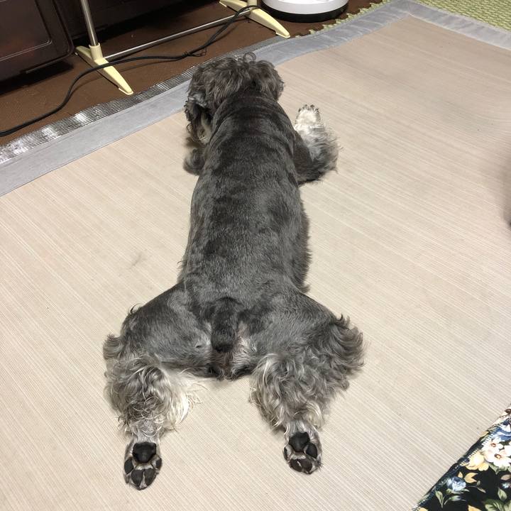 Fb3b15ee aa9d 4bde b227 e640dad0d384 1628460172074