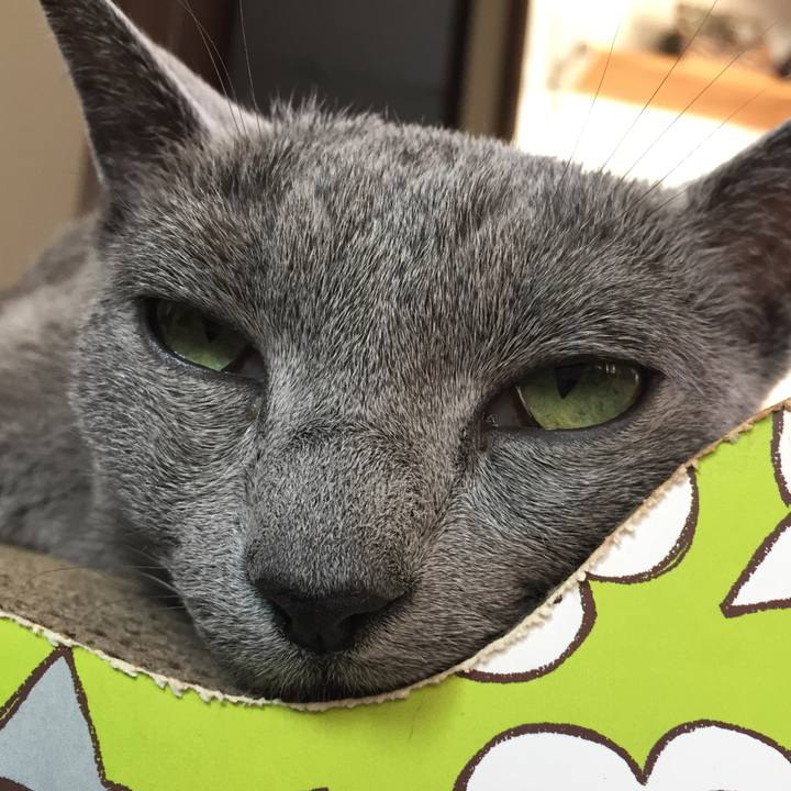 Fb3b3aa4 cda2 4771 bdb7 1e36a96e283c 1528154804953