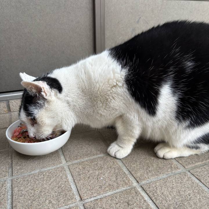 Fb3b4867 0e06 4fe9 9627 5d4ce94092a2 1765857128196