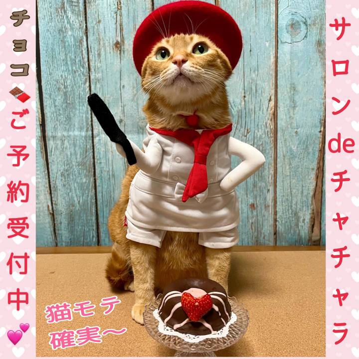 Fb3b522a 331f 4285 8a7b ac4d7bb4614b 1674861852368