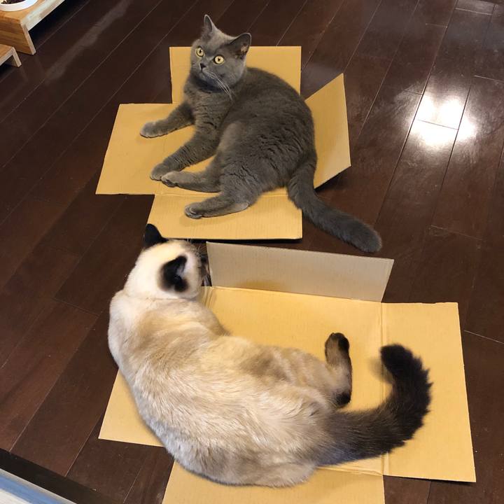 Fb3b52ca 0a97 4fe7 97ee 823f689861fd 1600312994172