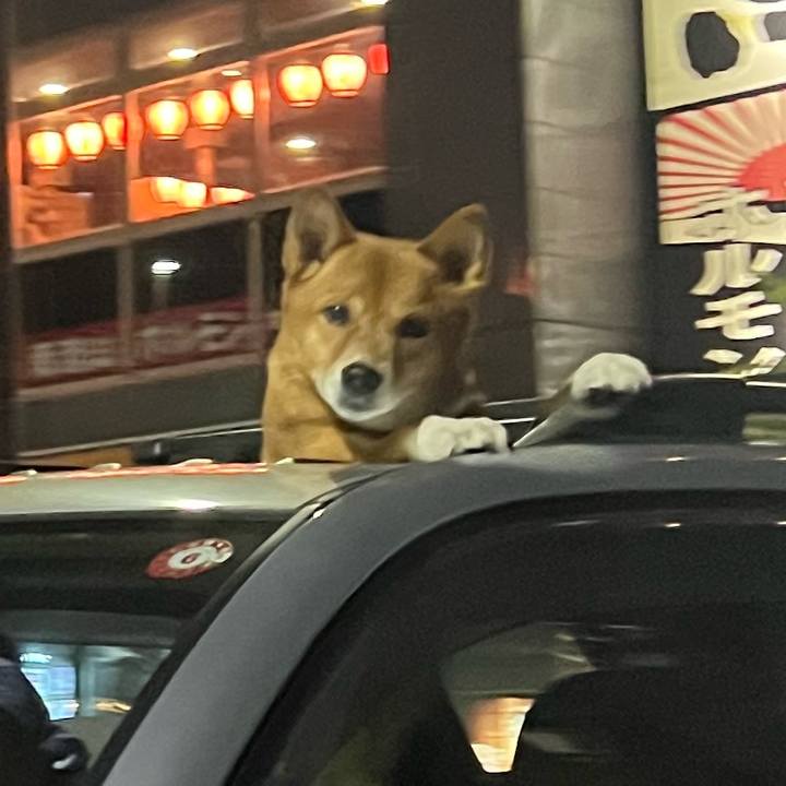 Fb3b55a9 6868 42c6 aee6 534868a115b9 1693648752333